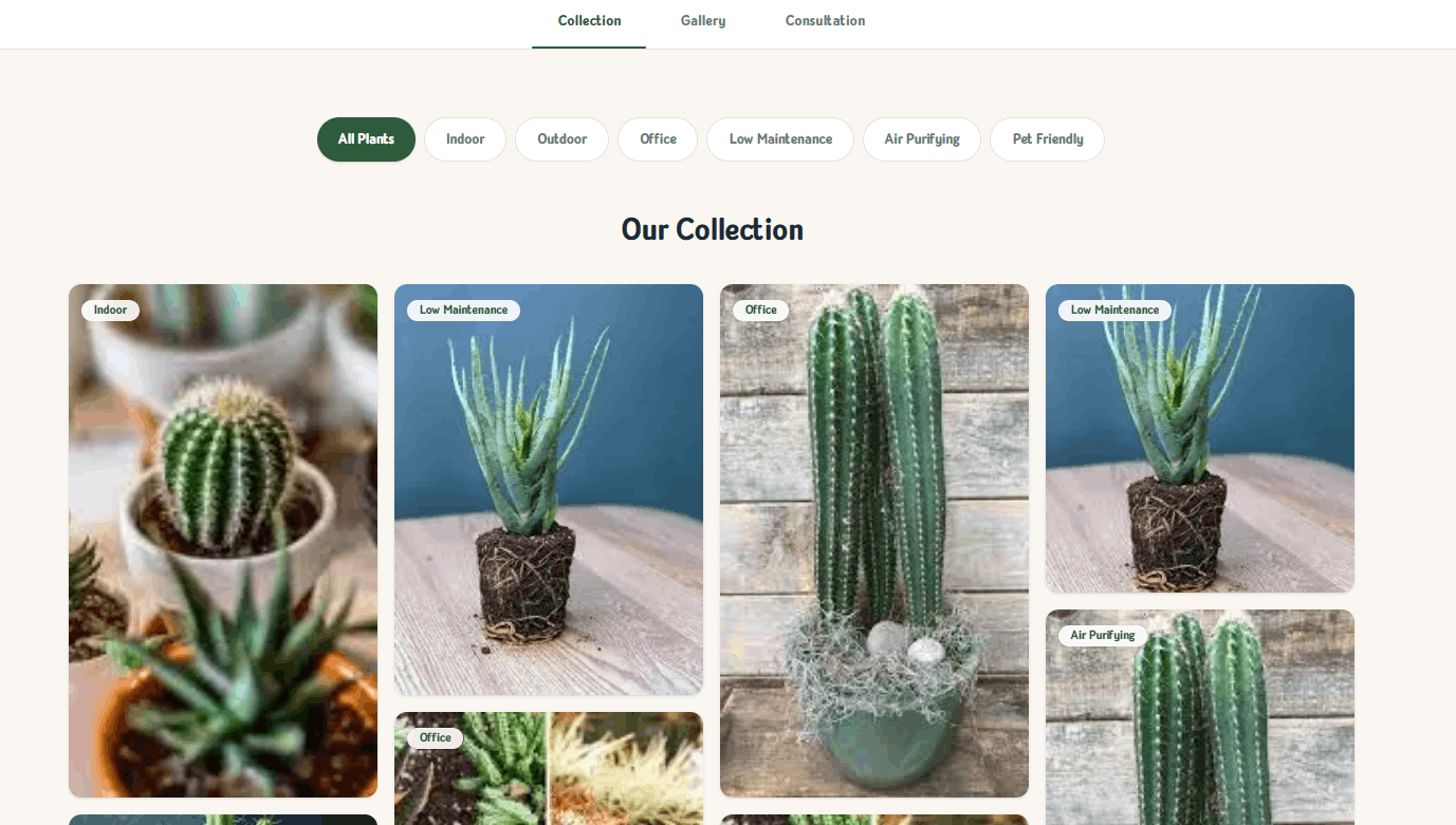 Cactus Coffee Website Section 3